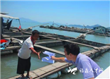 福鼎市農(nóng)機局下漁排宣傳網(wǎng)箱養(yǎng)殖設(shè)備購置補貼政策