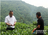 科技特派員茶園現(xiàn)場(chǎng)“傳經(jīng)送寶”