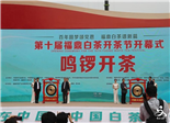 第十屆福鼎白茶開(kāi)茶節(jié)鳴鑼開(kāi)茶