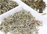 福鼎白茶，夏季最佳茶飲，清心解暑